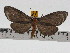  ( - ZWIER DNA 0752)  @13 [ ] Copyright (2010) Unspecified Research Collection of Jaap Zwier