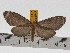  ( - ZWIER DNA 0754)  @13 [ ] Copyright (2010) Unspecified Research Collection of Jaap Zwier