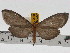  ( - ZWIER DNA 0755)  @13 [ ] Copyright (2010) Unspecified Research Collection of Jaap Zwier