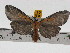  ( - ZWIER DNA 0760)  @14 [ ] Copyright (2010) Unspecified Research Collection of Jaap Zwier