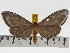  ( - ZWIER DNA 0765)  @13 [ ] Copyright (2010) Unspecified Research Collection of Jaap Zwier
