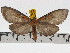  ( - ZWIER DNA 0766)  @14 [ ] Copyright (2010) Unspecified Research Collection of Jaap Zwier