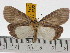  ( - ZWIER DNA 0774)  @15 [ ] Copyright (2010) Unspecified Research Collection of Jaap Zwier