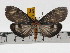  ( - ZWIER DNA 0777)  @11 [ ] Copyright (2010) Unspecified Research Collection of Jaap Zwier