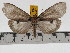  ( - ZWIER DNA 0778)  @11 [ ] Copyright (2010) Unspecified Research Collection of Jaap Zwier