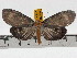  ( - ZWIER DNA 0783)  @11 [ ] Copyright (2010) Unspecified Research Collection of Jaap Zwier