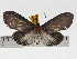  ( - ZWIER DNA 0784)  @11 [ ] Copyright (2010) Unspecified Research Collection of Jaap Zwier