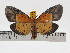  ( - ZWIER DNA 0789)  @15 [ ] Copyright (2010) Unspecified Research Collection of Jaap Zwier