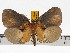  ( - ZWIER DNA 0791)  @14 [ ] Copyright (2010) Unspecified Research Collection of Jaap Zwier