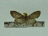  ( - ZWIER DNA 0100)  @12 [ ] Copyright (2010) Unspecified Research Collection of Jaap Zwier