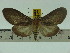  ( - ZWIER DNA 0101)  @12 [ ] Copyright (2010) Unspecified Research Collection of Jaap Zwier