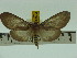  ( - ZWIER DNA 0102)  @12 [ ] Copyright (2010) Unspecified Research Collection of Jaap Zwier