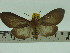  ( - ZWIER DNA 0103)  @12 [ ] Copyright (2010) Unspecified Research Collection of Jaap Zwier
