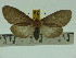  ( - ZWIER DNA 0105)  @12 [ ] Copyright (2010) Unspecified Research Collection of Jaap Zwier