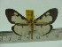  ( - ZWIER DNA 0111)  @12 [ ] Copyright (2010) Unspecified Research Collection of Jaap Zwier