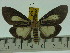  ( - ZWIER DNA 0134)  @13 [ ] Copyright (2010) Unspecified Research Collection of Jaap Zwier