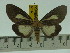  ( - ZWIER DNA 0137)  @13 [ ] Copyright (2010) Unspecified Research Collection of Jaap Zwier
