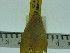  ( - ZWIER DNA 0170)  @12 [ ] Copyright (2010) Unspecified Research Collection of Jaap Zwier