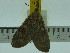  ( - ZWIER DNA 0171)  @12 [ ] Copyright (2010) Unspecified Research Collection of Jaap Zwier