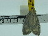  ( - ZWIER DNA 0190)  @12 [ ] Copyright (2010) Unspecified Research Collection of Jaap Zwier