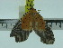  ( - ZWIER DNA 0193)  @11 [ ] Copyright (2010) Unspecified Research Collection of Jaap Zwier
