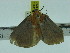  ( - ZWIER DNA 0194)  @12 [ ] Copyright (2010) Unspecified Research Collection of Jaap Zwier
