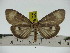  ( - ZWIER DNA 0203)  @11 [ ] Copyright (2010) Unspecified Research Collection of Jaap Zwier