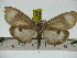  ( - ZWIER DNA 0205)  @11 [ ] Copyright (2010) Unspecified Research Collection of Jaap Zwier