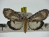  ( - ZWIER DNA 0206)  @11 [ ] Copyright (2010) Unspecified Research Collection of Jaap Zwier