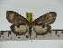  ( - ZWIER DNA 0209)  @11 [ ] Copyright (2010) Unspecified Research Collection of Jaap Zwier