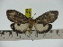  ( - ZWIER DNA 0211)  @11 [ ] Copyright (2010) Unspecified Research Collection of Jaap Zwier