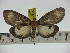  ( - ZWIER DNA 0213)  @11 [ ] Copyright (2010) Unspecified Research Collection of Jaap Zwier