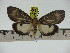  ( - ZWIER DNA 0214)  @11 [ ] Copyright (2010) Unspecified Research Collection of Jaap Zwier