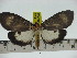  ( - ZWIER DNA 0220)  @11 [ ] Copyright (2010) Unspecified Research Collection of Jaap Zwier