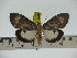  ( - ZWIER DNA 0223)  @11 [ ] Copyright (2010) Unspecified Research Collection of Jaap Zwier