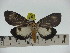  ( - ZWIER DNA 0224)  @11 [ ] Copyright (2010) Unspecified Research Collection of Jaap Zwier
