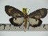  ( - ZWIER DNA 0227)  @11 [ ] Copyright (2010) Unspecified Research Collection of Jaap Zwier