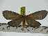  ( - ZWIER DNA 0233)  @13 [ ] Copyright (2010) Unspecified Research Collection of Jaap Zwier