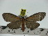  ( - ZWIER DNA 0234)  @13 [ ] Copyright (2010) Unspecified Research Collection of Jaap Zwier
