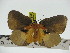  ( - ZWIER DNA 0238)  @11 [ ] Copyright (2010) Unspecified Research Collection of Jaap Zwier
