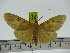  ( - ZWIER DNA 0259)  @11 [ ] Copyright (2010) Unspecified Research Collection of Jaap Zwier
