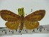  ( - ZWIER DNA 0261)  @11 [ ] Copyright (2010) Unspecified Research Collection of Jaap Zwier