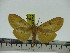  ( - ZWIER DNA 0262)  @11 [ ] Copyright (2010) Unspecified Research Collection of Jaap Zwier