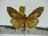 ( - ZWIER DNA 0263)  @11 [ ] Copyright (2010) Unspecified Research Collection of Jaap Zwier