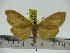  ( - ZWIER DNA 0264)  @11 [ ] Copyright (2010) Unspecified Research Collection of Jaap Zwier
