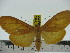  ( - ZWIER DNA 0267)  @12 [ ] Copyright (2010) Unspecified Research Collection of Jaap Zwier