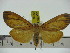  ( - ZWIER DNA 0268)  @12 [ ] Copyright (2010) Unspecified Research Collection of Jaap Zwier