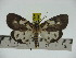  ( - ZWIER DNA 0293)  @13 [ ] Copyright (2010) Unspecified Research Collection of Jaap Zwier
