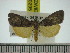  ( - ZWIER DNA 0295)  @11 [ ] Copyright (2010) Unspecified Research Collection of Jaap Zwier