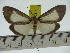  ( - ZWIER DNA 0311)  @11 [ ] Copyright (2010) Unspecified Research Collection of Jaap Zwier
